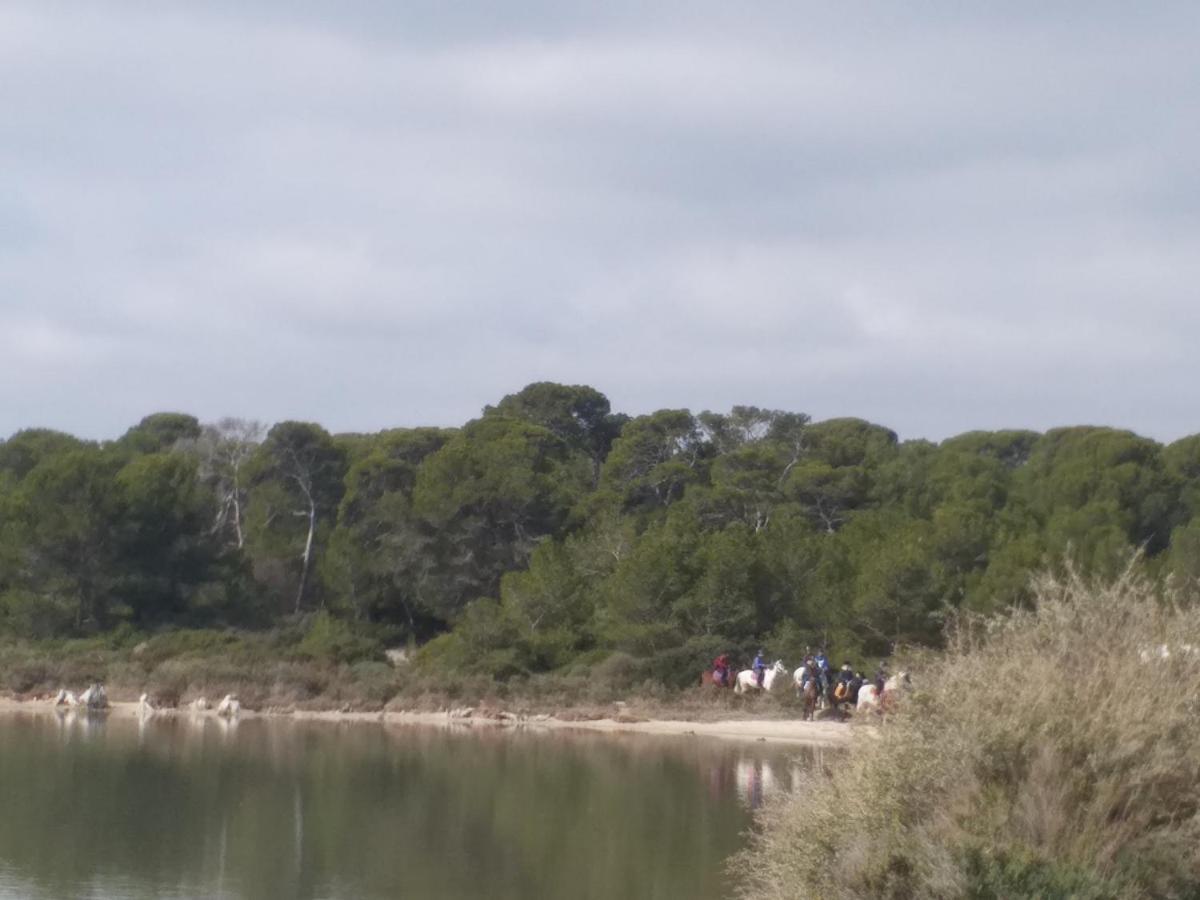 פרונטיניאן Cabanes Des Aresquiers מראה חיצוני תמונה