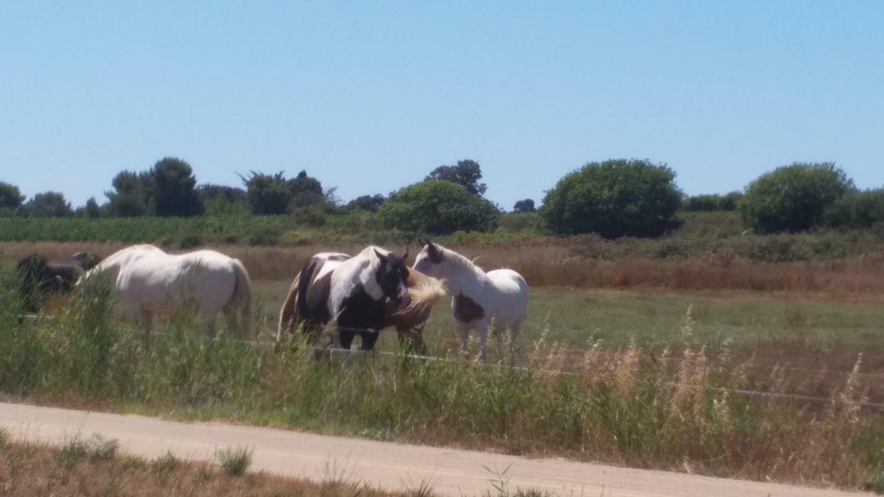 פרונטיניאן Cabanes Des Aresquiers מראה חיצוני תמונה
